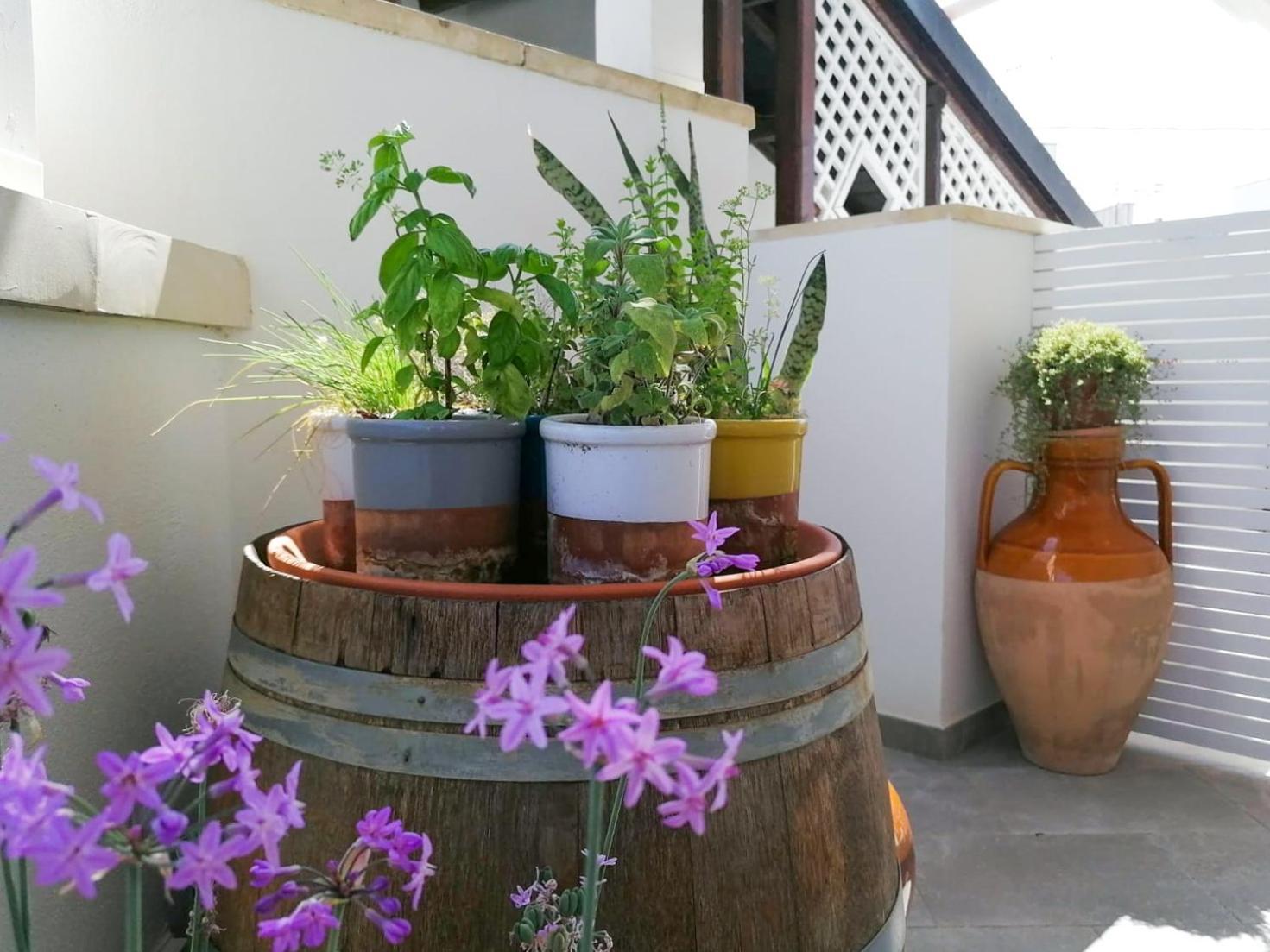 Casa Flora - Bed And Breakfast Torre San Giovanni Ugento Eksteriør billede